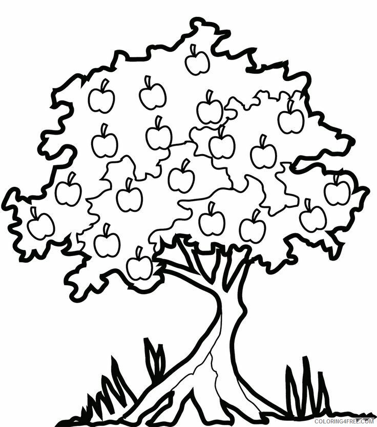Apple Tree Coloring Page Printable Sheets Apple Tree Many Fruit Coloring 2021 a 2037 Coloring4free