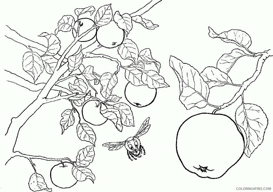 Apple Tree Coloring Page Printable Sheets Tree Leopard On A Branch 2021 a 2042 Coloring4free