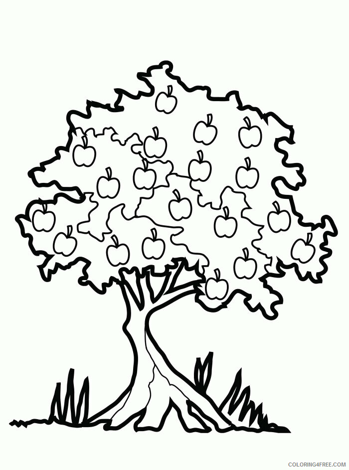 Apple Tree Coloring Pages Printable Sheets Printable Apple Tree Pages 2021 a 2045 Coloring4free