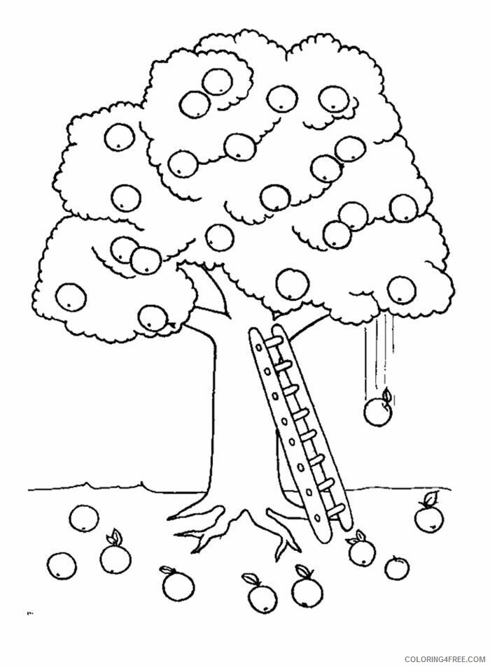 Apple Tree Pictures to Color Printable Sheets Apple Tree And Ladder Coloring 2021 a 2053 Coloring4free