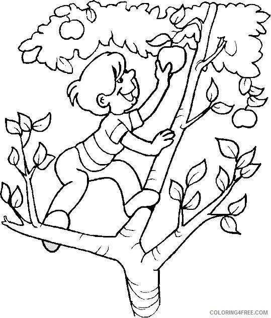 Apple Tree Pictures to Color Printable Sheets Boy climbing an apple tree 2021 a 2056 Coloring4free