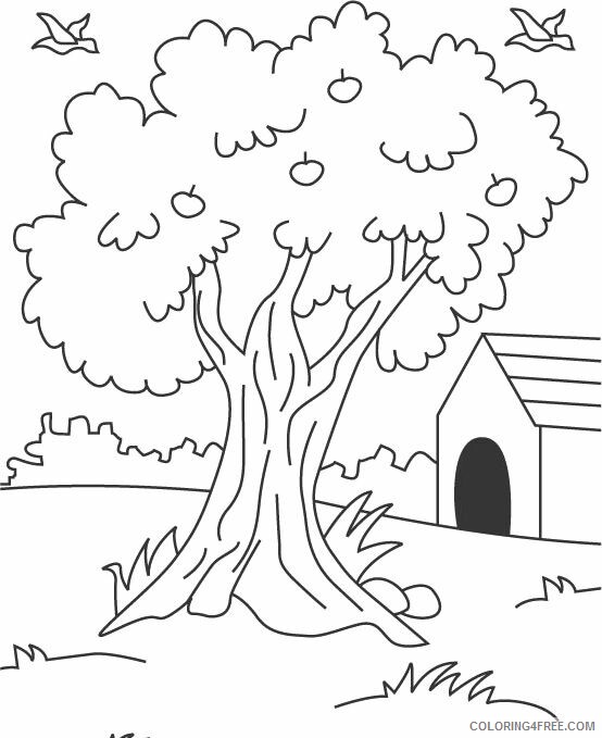 Apple Tree Pictures to Color Printable Sheets Free Apple Tree 2021 a 2060 Coloring4free