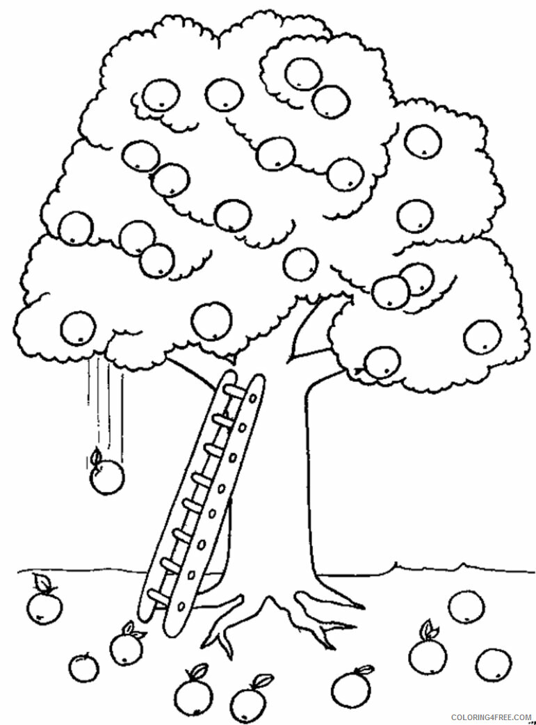 Apple Tree Pictures to Color Printable Sheets Page Tree Pages 2021 a 2058 Coloring4free