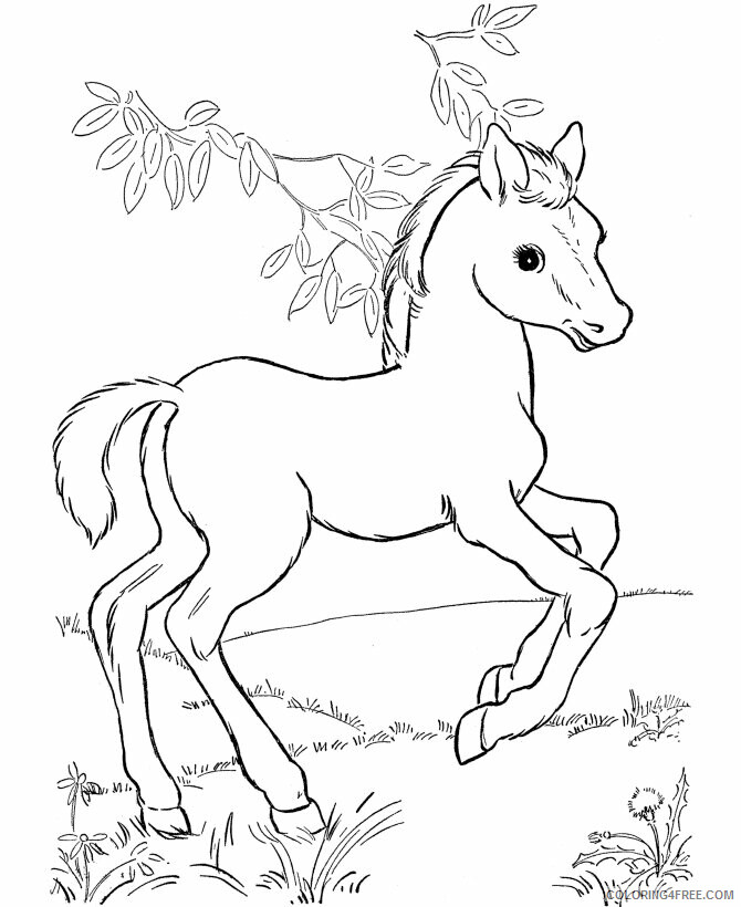 April Coloring Pages to Print Printable Sheets flower of daffodil 2021 a 2187 Coloring4free
