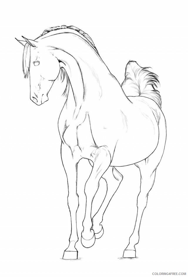 Arabian Horse Coloring Pages Printable Sheets Arabian Horse Download 2021 a 2256 Coloring4free