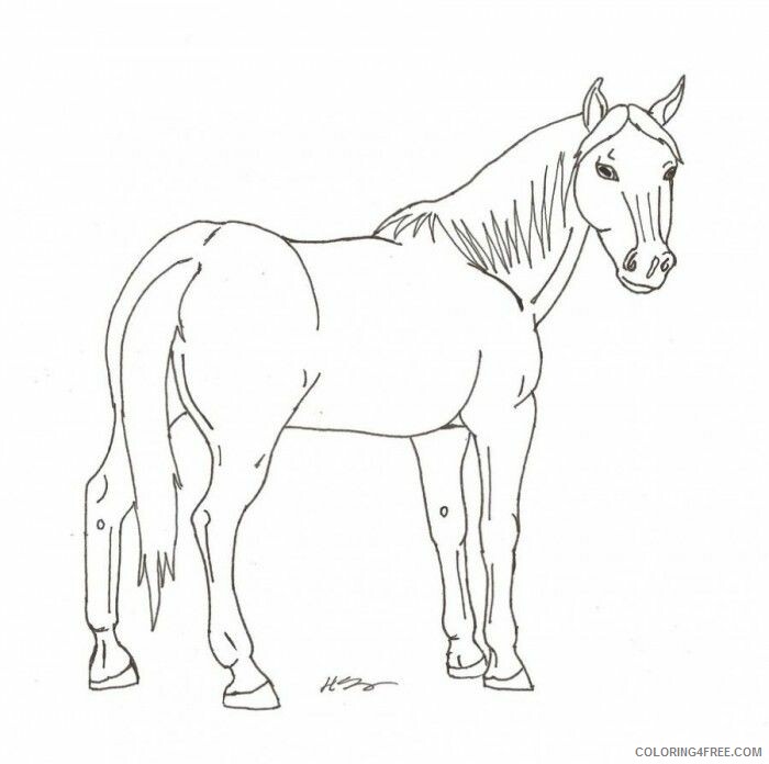 Arabian Horse Coloring Pages Printable Sheets Arabian Horse Print 2021 a 2257 Coloring4free