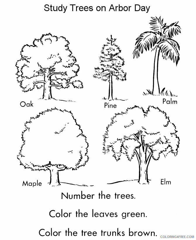 Arbor Day Coloring Pages Printable Sheets Arbor Day Tree 2021 a 2285 Coloring4free