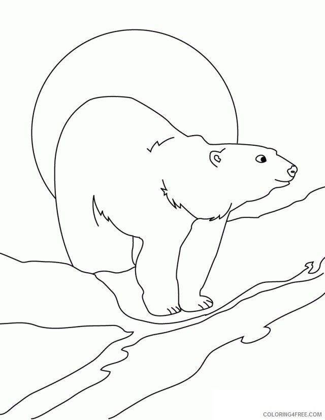 Arctic Animals Coloring Pages Printable Sheets ARCTIC ANIMALS Polar 2021 a 2324 Coloring4free