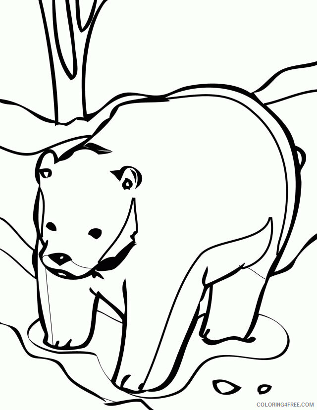 Arctic Animals Coloring Pages Printable Sheets Antarctic C0lor 96072 2021 a 2322 Coloring4free