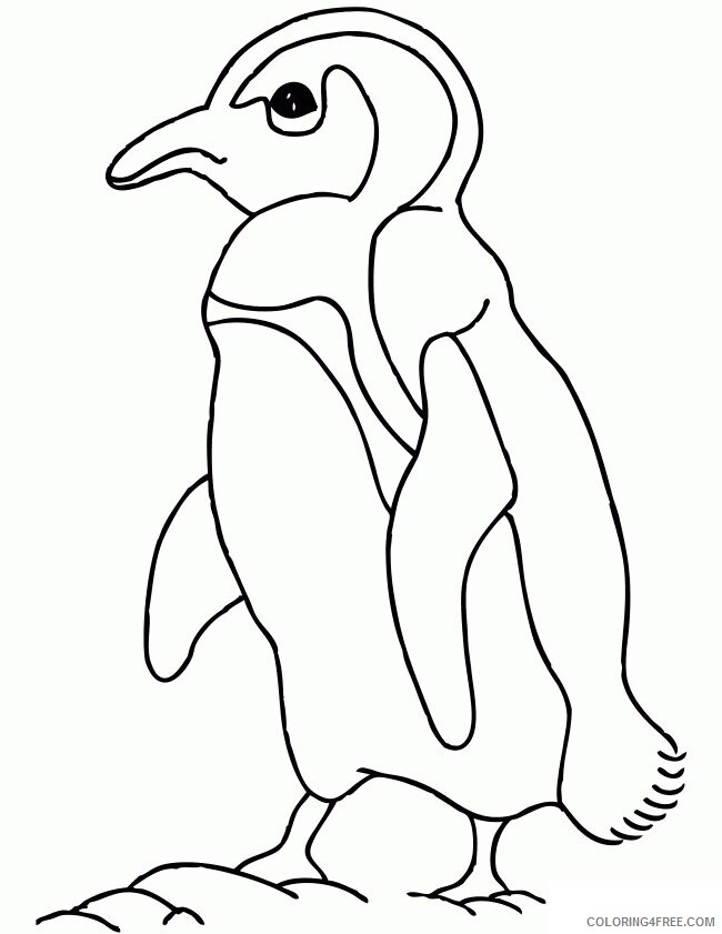 Arctic Animals Coloring Pages Printable Sheets Pen jpg 2021 a 2329 Coloring4free