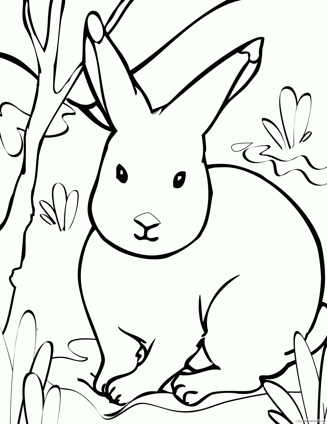 Arctic Coloring Page Printable Sheets Arctic Animals Handipoints 2021 a 2333 Coloring4free