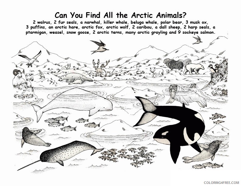 Arctic Coloring Page Printable Sheets Arctic Animals To 2021 a 2337 Coloring4free