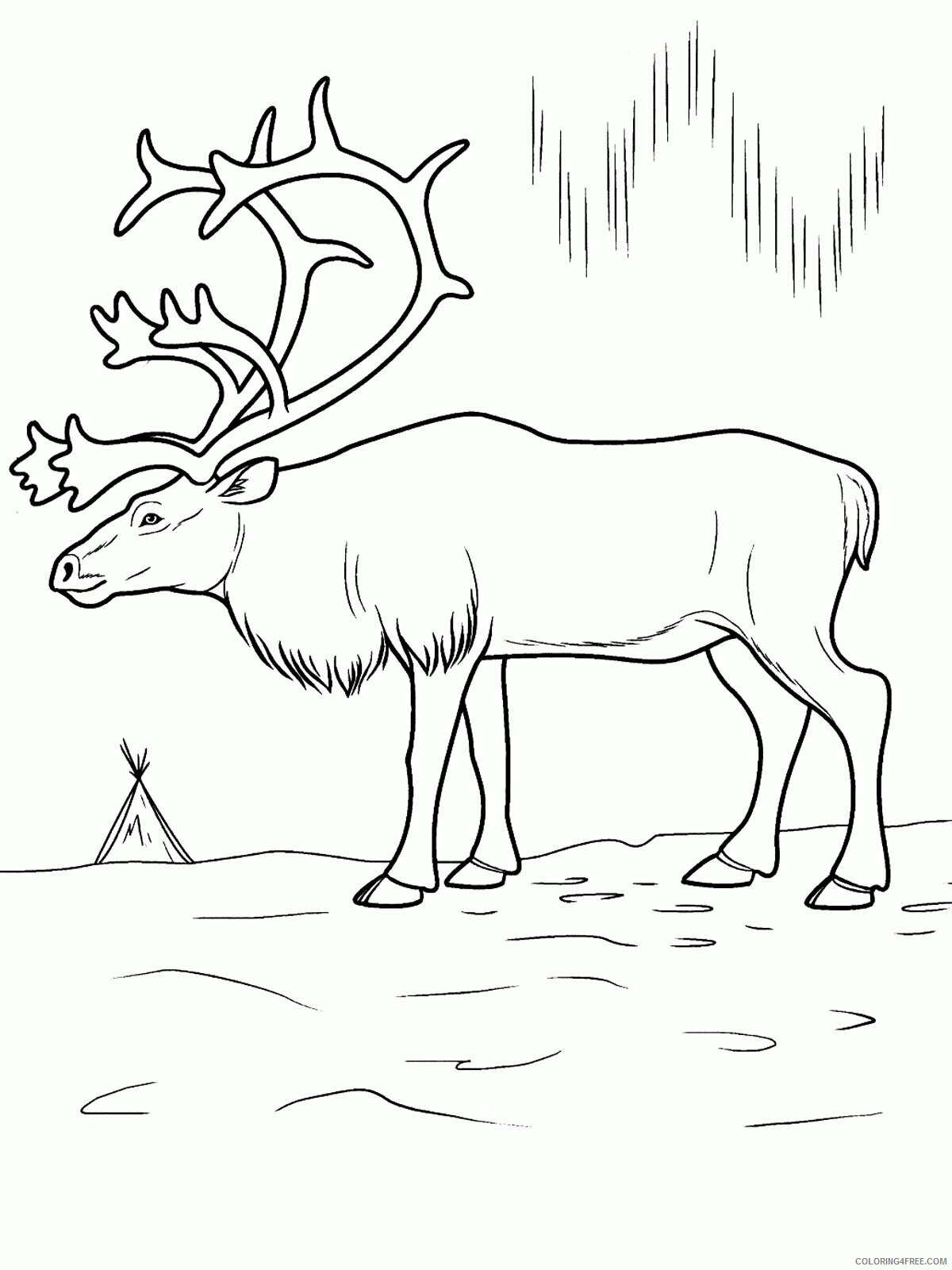 Arctic Coloring Page Printable Sheets Arctic for Kids 2021 a 2332 Coloring4free