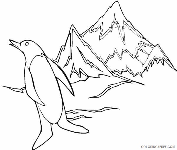Arctic Coloring Pages Printable Sheets Arctic Animals Penguin at Iceberg 2021 a 2355 Coloring4free