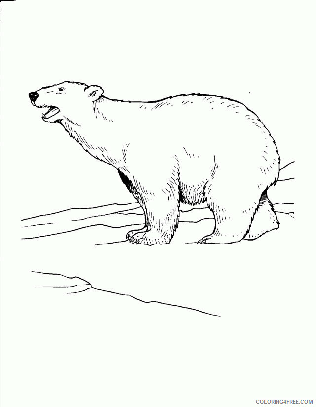 Arctic Coloring Pages Printable Sheets Arctic C0lor 187690 2021 a 2357 Coloring4free