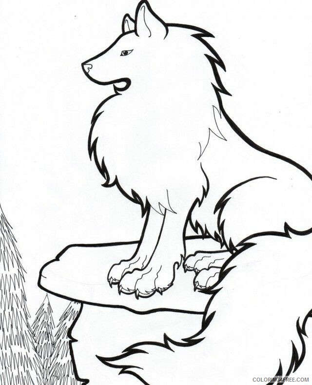 Arctic Coloring Pages Printable Sheets Arctic Wolf Drawing Best 2021 a 2361 Coloring4free