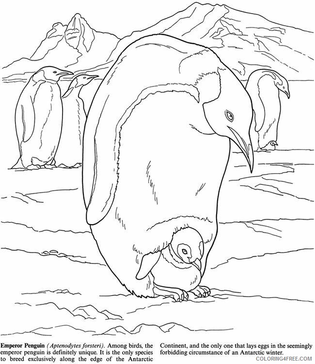 Arctic Coloring Pages Printable Sheets Arctic and Antarctic Life Coloring 2021 a 2350 Coloring4free