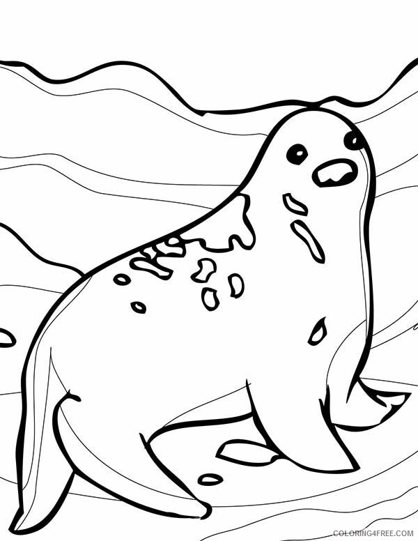 Arctic Coloring Pages Printable Sheets Awesome Arctic Animals Seal 2021 a 2362 Coloring4free