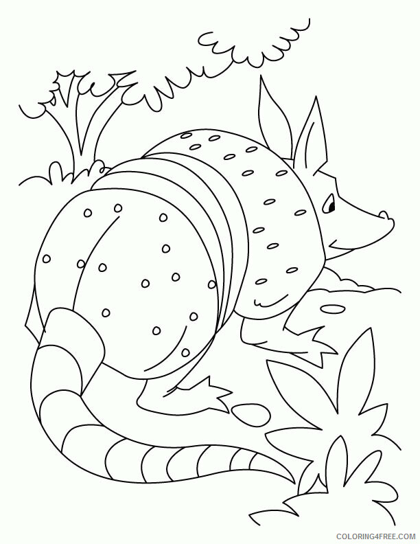 Armadillo Coloring Pages Printable Sheets Armadillo playing role of rat 2021 a 2730 Coloring4free