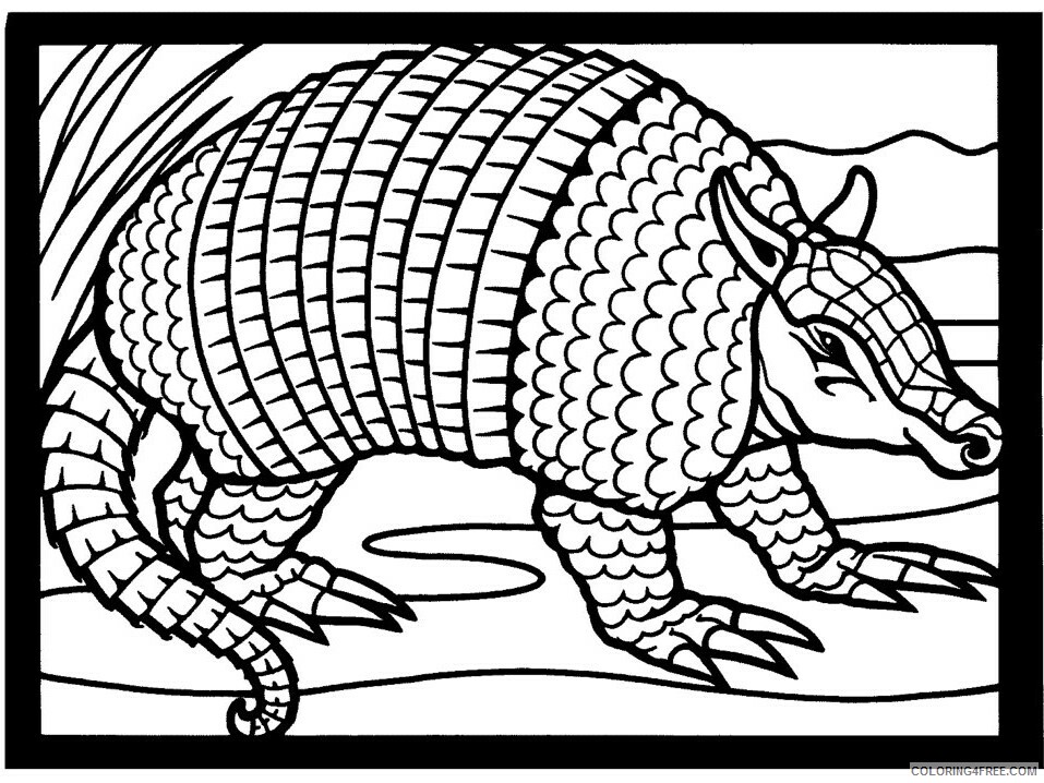 Armadillo Pic Printable Sheets Okul Oncesi Armadillo Boyama 2012 2021 a 2746 Coloring4free