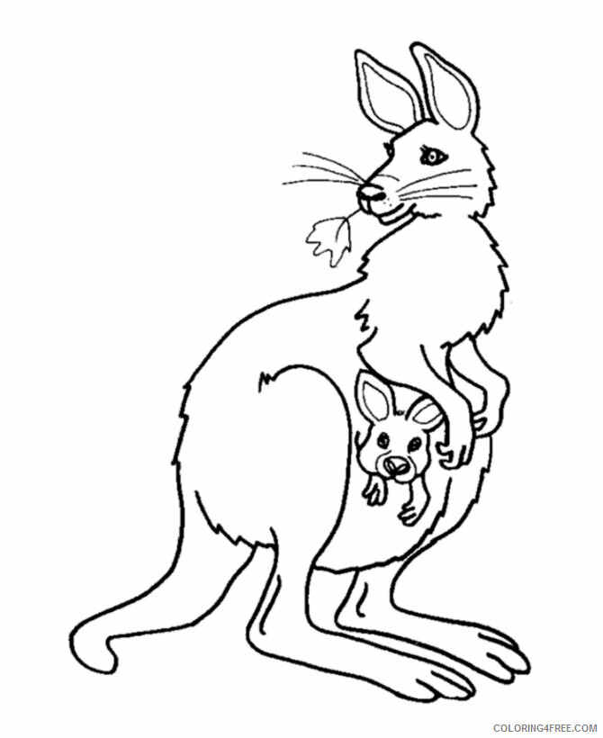 Australian Animals Coloring Pages Printable Sheets Free Printable Kangaroo 2021 a 3664 Coloring4free