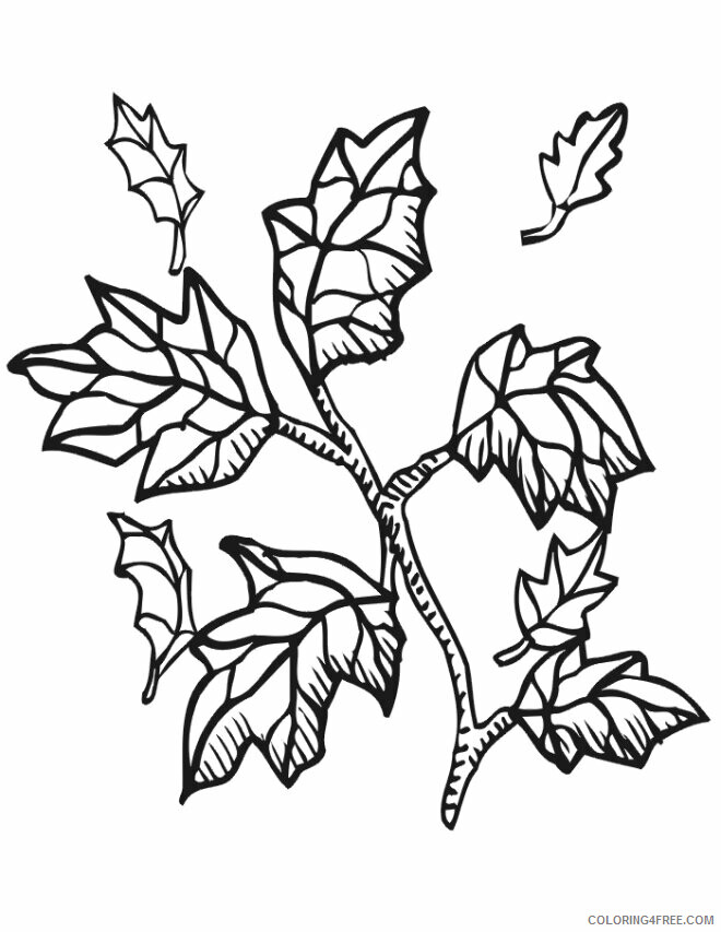 Autumn Coloring Page Printable Sheets Autumn Leaves Page Fall 2021 a 3750 Coloring4free