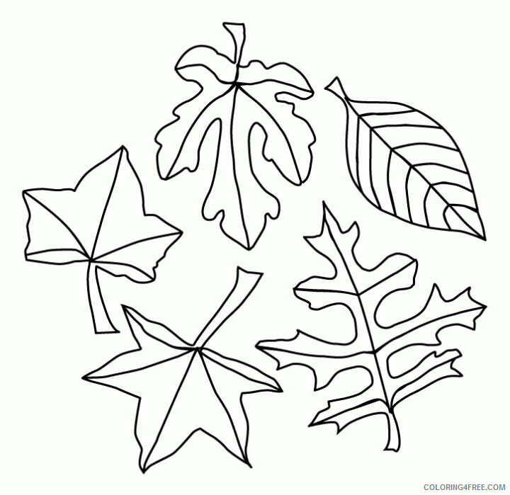 Autumn Coloring Page Printable Sheets Of Fall Leaves 2021 a 3760 Coloring4free