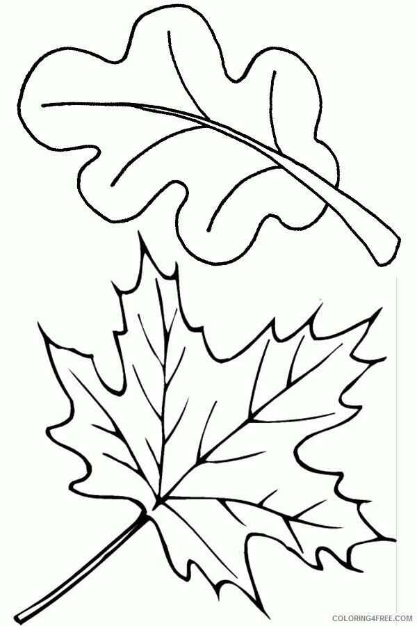 Autumn Coloring Pages for Preschoolers Printable Sheets Autumn leaves 2021 a 3812 Coloring4free