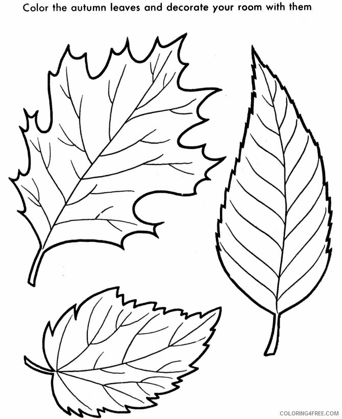 Autumn Leaf Color Printable Sheets Free Printable Leaf Pages 2021 a 3910 Coloring4free
