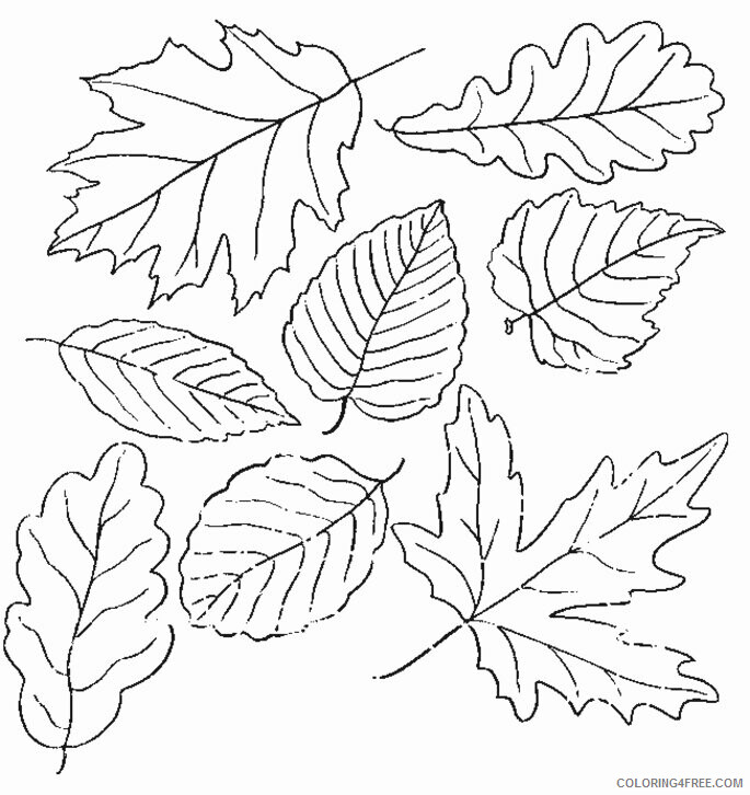 Autumn Leaf Coloring Page Printable Sheets Autumn Leaves For 2021 a 3921 Coloring4free