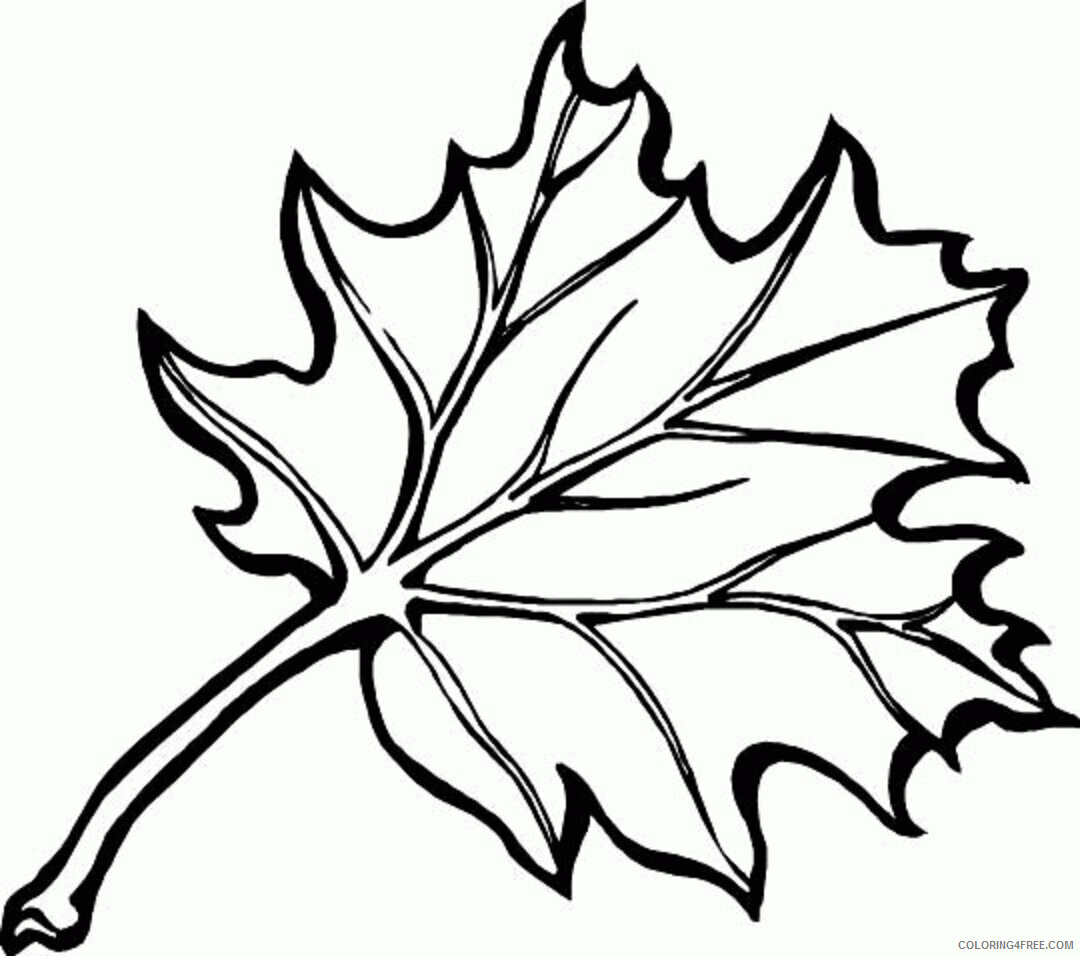 Autumn Leaf Coloring Page Printable Sheets Fall Leaves for 2021 a 3927 Coloring4free
