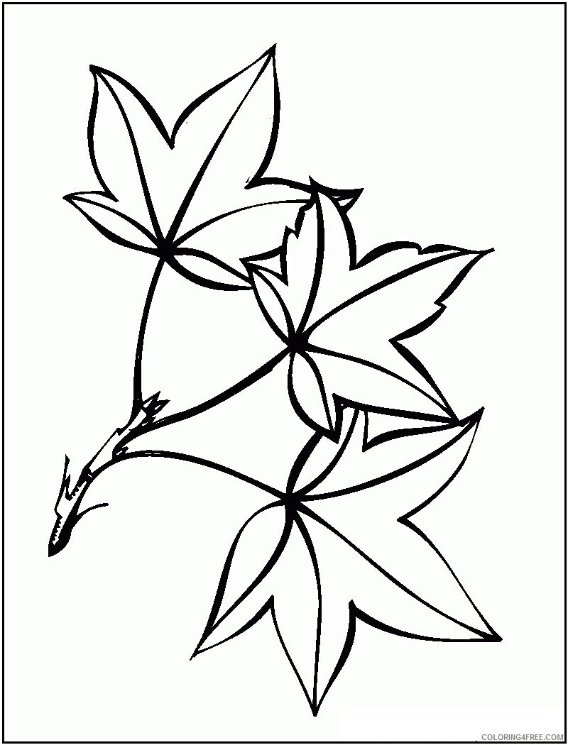 Autumn Leaf Coloring Page Printable Sheets Related Leaf item 2021 a 3932 Coloring4free