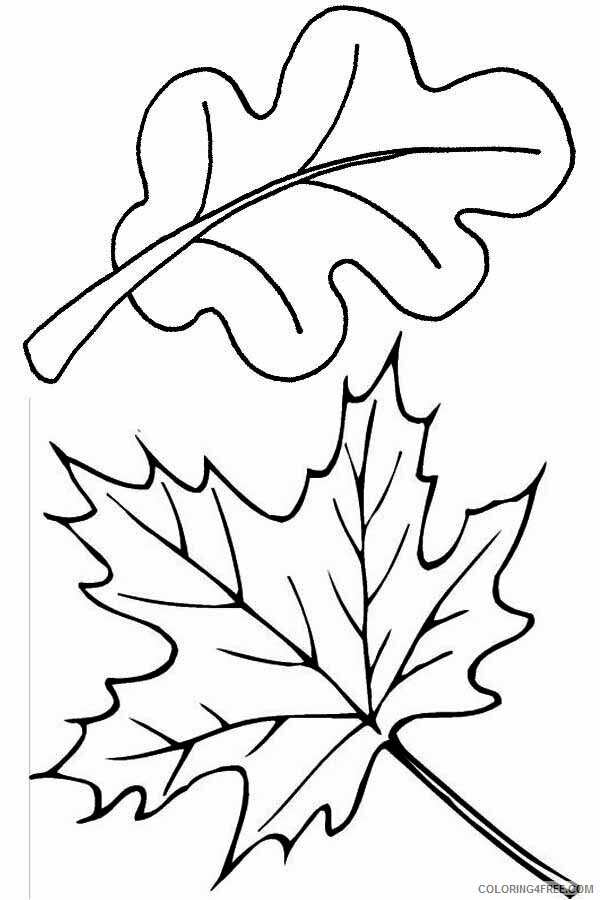 Autumn Leaf Coloring Page Printable Sheets fall leaves page High 2021 a 3925 Coloring4free