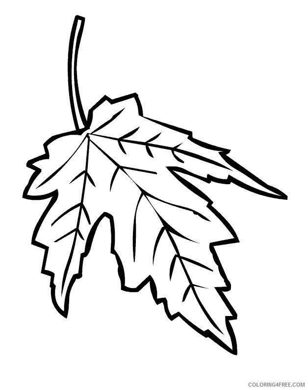 Autumn Leaf Coloring Pages Printable Sheets Maple Leaf Free Pages 2021 a 3952 Coloring4free