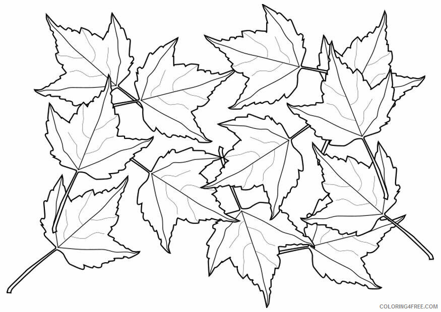 Autumn Leaf Coloring Pages Printable Sheets page leaves img 20553 2021 a 3945 Coloring4free