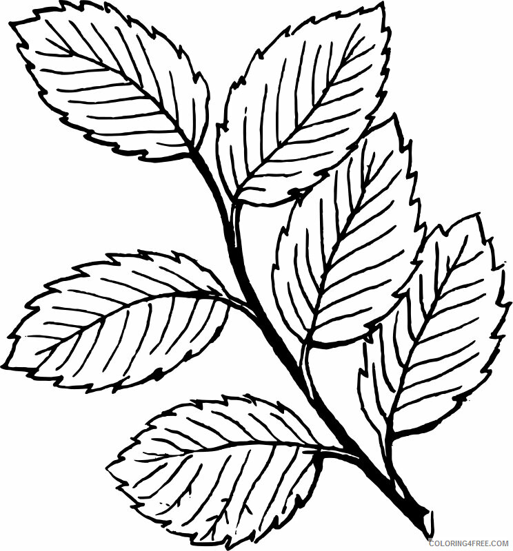 Autumn Leaves Coloring Pages Printable Sheets Free Printable Leaf Pages 2021 a 3984 Coloring4free