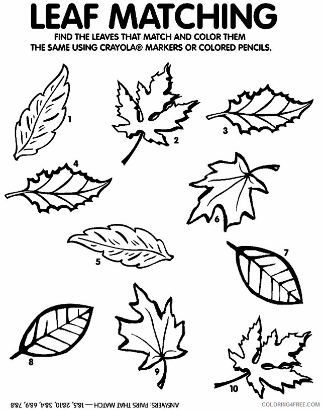 Autumn Leaves Coloring Pages Printable Sheets Happy Fall – fun fall 2021 a 3986 Coloring4free