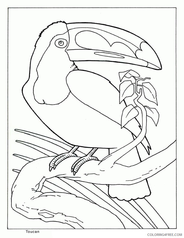 Az Coloring Pages of Animals Printable Sheets Animals Realistic Nucoloring 2021 a 4443 Coloring4free